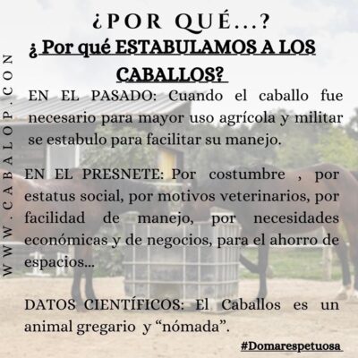 por-que-estabulamos-a-los-caballos